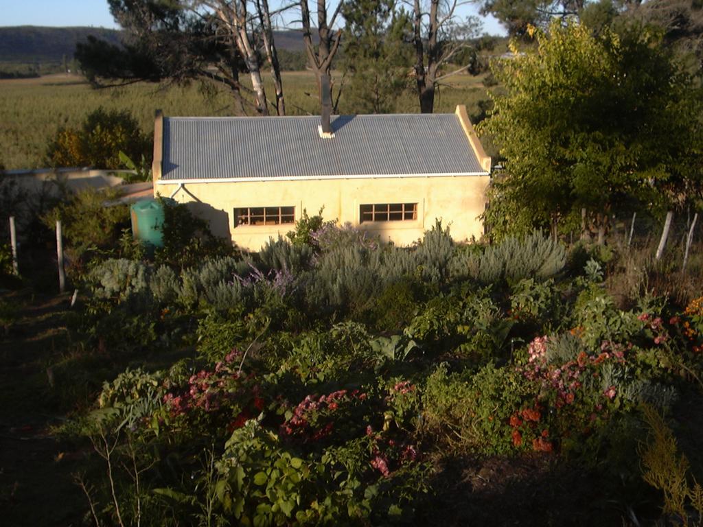 Bethany Farm Twee Riviere Exterior foto